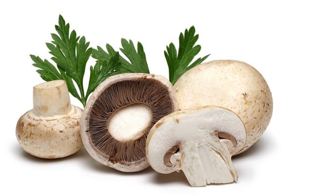 草菇的貯藏溫度_采收_儲(chǔ)存