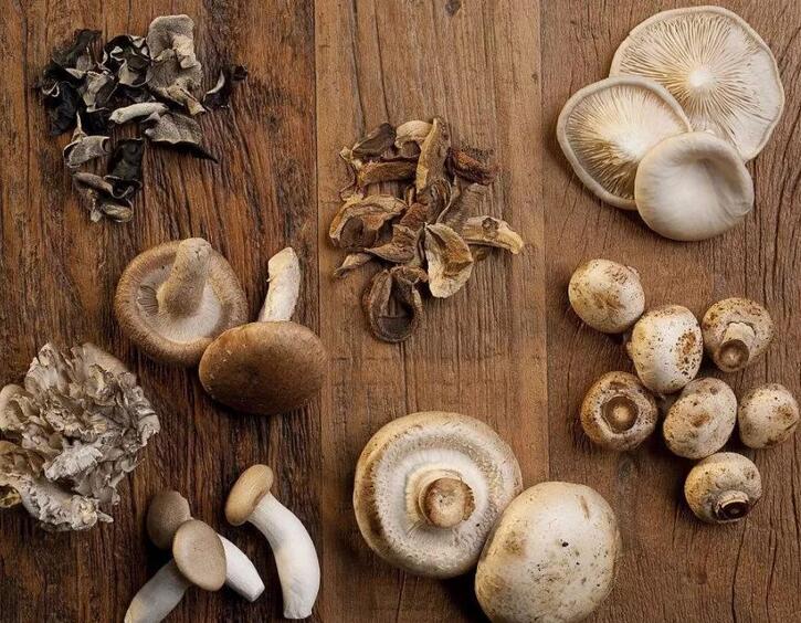 食用菌的貯藏和保鮮方法.